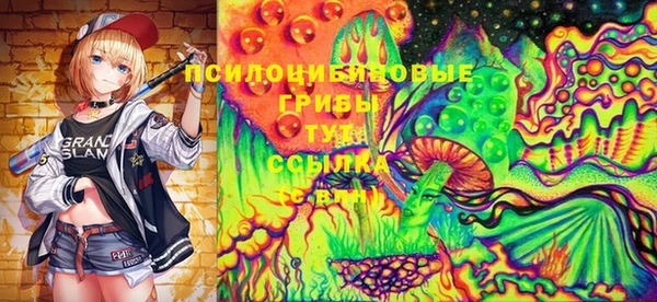 стафф Абаза